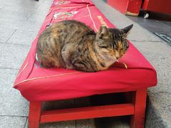 -龙华素斋(龙华路店)