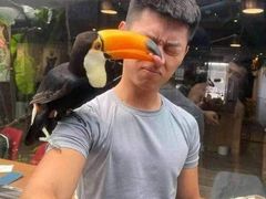 -佶政筋饼·新概念(安阳路店)