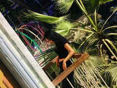 -大塘金香草谷