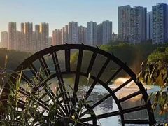 -重庆彩云湖湿地公园