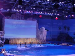 -华夏文旅海洋公园