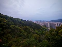 -福道