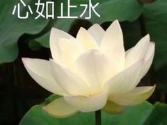 -海底捞火锅(银泰中心店)