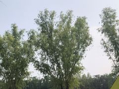 -青龙湖公园