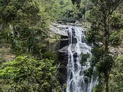 -海南热带雨林国家公园吊罗山景区