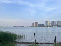 -北龙湖湿地公园