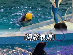 -哈尔滨极地公园