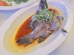 -顺峰(农展馆店)