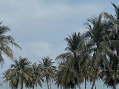 -海南清水湾莱佛士酒店