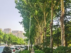 -临沂市博物馆