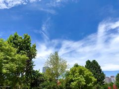 -智融泳往直前游泳馆(旺座现代城店)