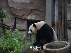 -安吉竹博园