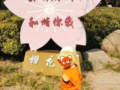 -高东镇樱花园
