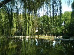 -玲珑塔公园