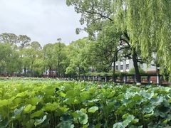 -四川大学(望江校区)