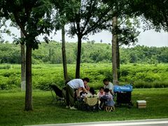 -汉长安城未央宫国家考古遗址公园