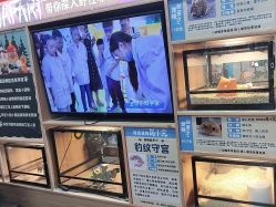 -卡通尼·Safari非洲探索乐园·生日会(金桥国际商业广场店)