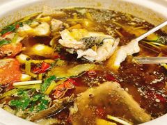 -黑河坝泡姜鸡贡椒鱼(贾旗路店)