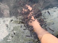 -惠州金海湾嘉华度假酒店