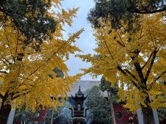-洛阳白马寺