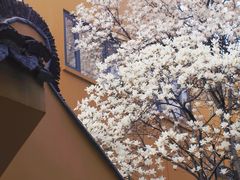 -龙华寺