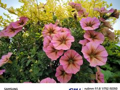 -上海山野camping·户外天幕烧烤·团建拓展营地