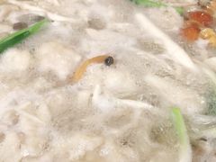 -丁月玉兔王(大渡口店)