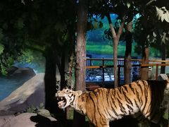 -吉林省自然博物馆