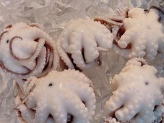 -铭聚章鱼土笋冻(松柏店)