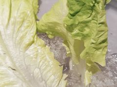 -王家渡火锅(金宝汇店)