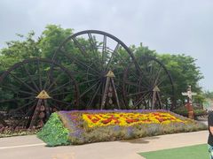 -北京呀路古热带植物园