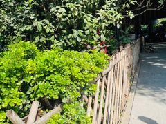 -小洲村