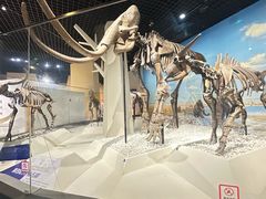 -国家自然博物馆