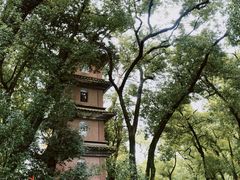 -阿育王寺
