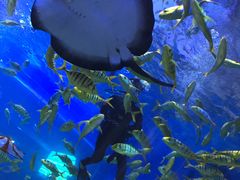 -华夏文旅西安度假区