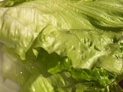 -山之屋炭火烧肉·生啤畅饮(大朗万科中央公园店)