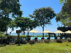 -卷心菜和避孕套餐厅(Pattaya)