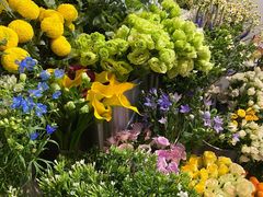 -植物学家的女儿(北马道巷店)