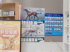 -关爱宠物医院·猫科中心·消化科(滨湖万达分院)