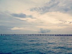 -宝安西湾红树林湿地公园