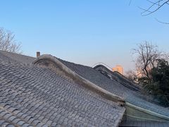 -自如ZSPACE四合院艺术餐厅