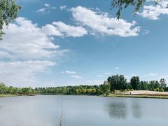 -东郊湿地公园