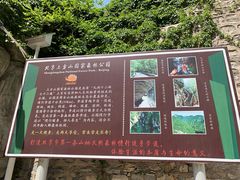 -北京上方山国家森林公园