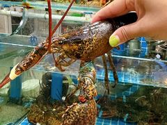 -富临港·蒸汽海鲜·手抓海鲜·炒菜(栈桥店)