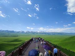 -新疆那拉提国家旅游度假区