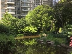 -新湖明珠城