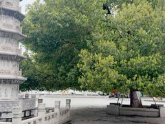-香积寺