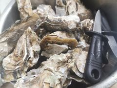 -爱蚝屋