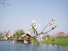 -良渚古城遗址公园