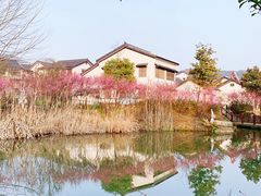 -石塘人家